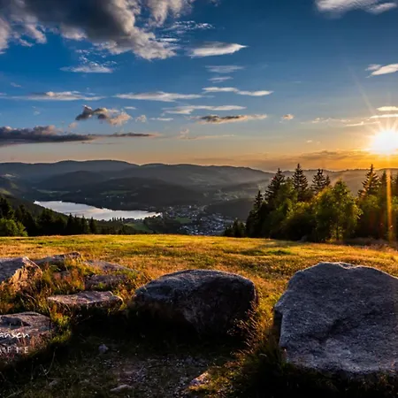 App 24011 - Waldblick - Indoorpool, Апартаменты 3*