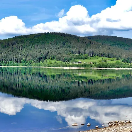 App 24011 - Waldblick - Indoorpool, Апартаменты