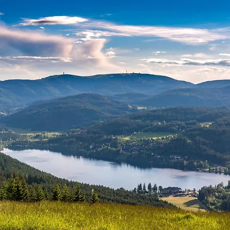 App 24011 - Waldblick - Indoorpool, 3*