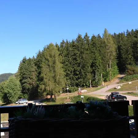 Апартаменты App 24011 - Waldblick - Indoorpool, Шлухзее