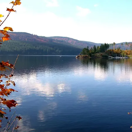 App 24011 - Waldblick - Indoorpool, Апартаменты Шлухзее